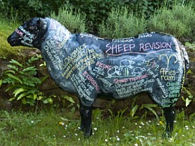 Una ovella personalitzada