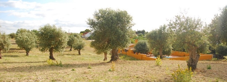 Marta Rojals: Primavera, estiu, etcètera