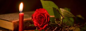 MÃ rius Serra: La novelÂ·la de Sant Jordi