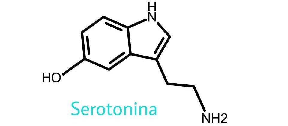 Michel Houellebecq: Serotonina